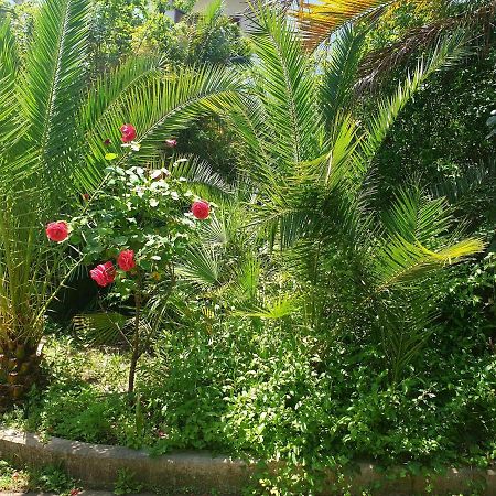 Quiet House Garden Naples-Pompei-Sorrento Villa Trecase Buitenkant foto