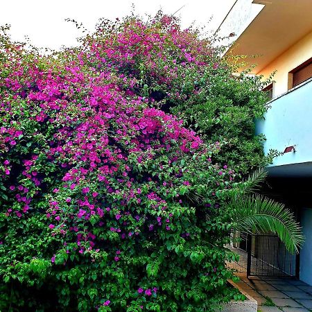 Quiet House Garden Naples-Pompei-Sorrento Villa Trecase Buitenkant foto