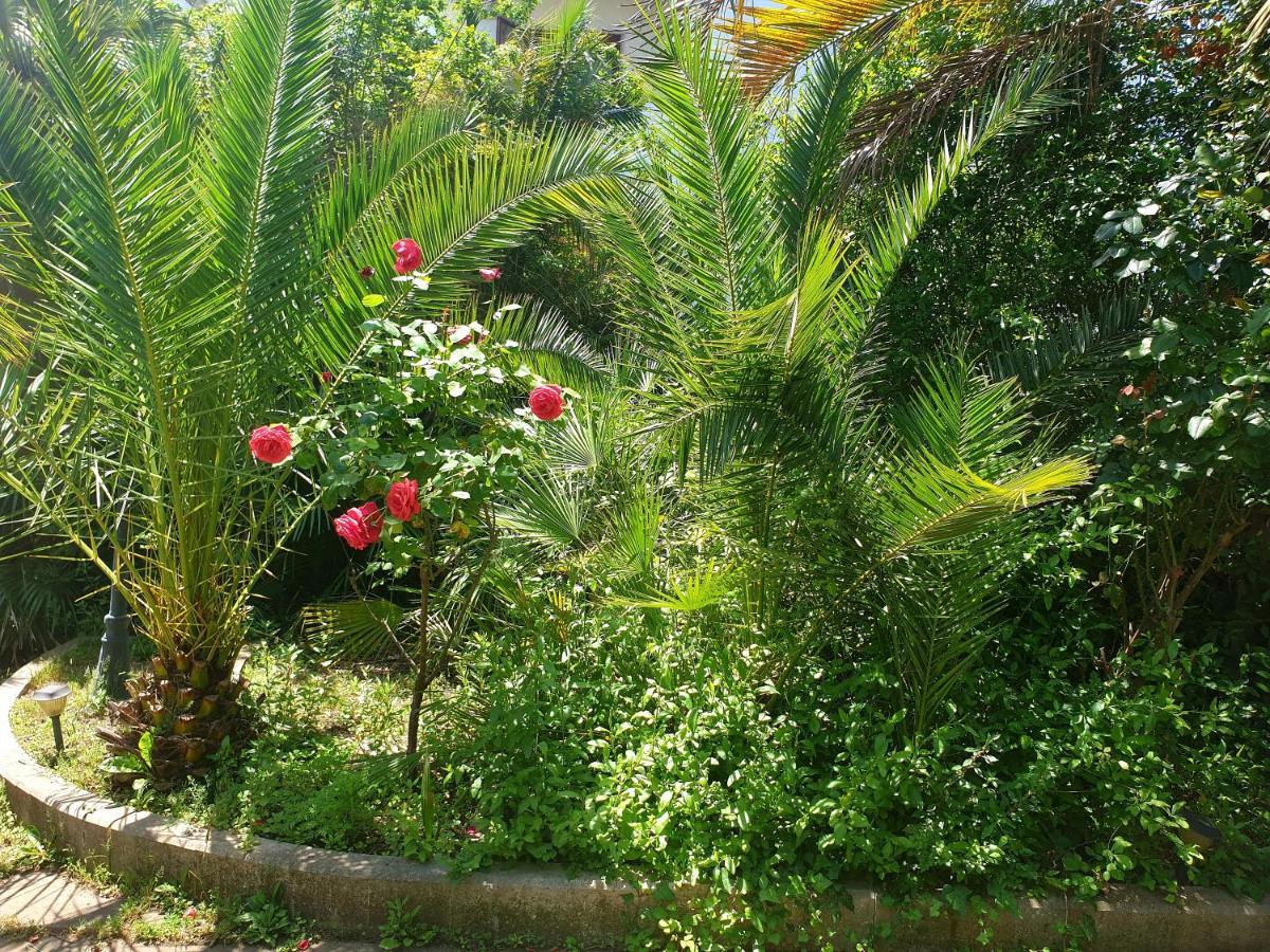 Quiet House Garden Naples-Pompei-Sorrento Villa Trecase Buitenkant foto