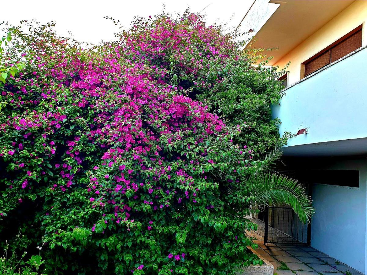 Quiet House Garden Naples-Pompei-Sorrento Villa Trecase Buitenkant foto