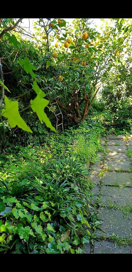 Quiet House Garden Naples-Pompei-Sorrento Villa Trecase Buitenkant foto